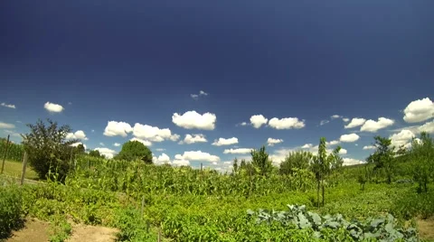 Timelapse clouds over the green garden Stock Footage 55772278