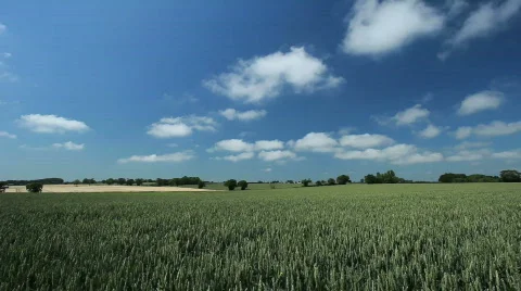Timelapse Clouds over green wheat field 3 库存影片 457991