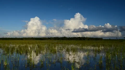 Timelapse of clouds over Hole-In-The-Donut area in Everglades National Park 4K. Stock Footage 142313176