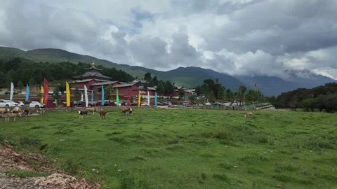 Timelapse of clouds over mountain pasture in front of Fuguo Monastery, Yunnan Видео 341074817