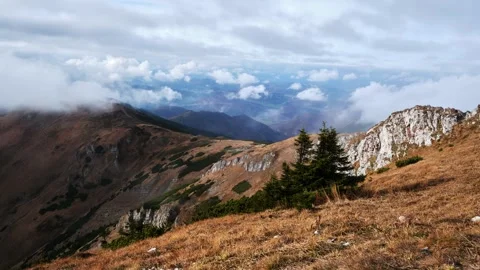 Timelapse. Clouds Over Rocky Mountain Landscape with Pine Trees Stock-Footage 313594459