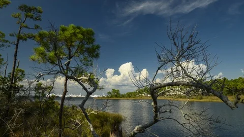 Timelapse of clouds over Sandestin, Florida Video stock 125533728