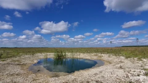 Timelapse of clouds over solution hole in Everglades National Park 4K. Stock Footage 156748130