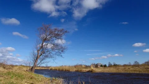 Timelapse clouds over a tree by the river Stock Footage 91800807
