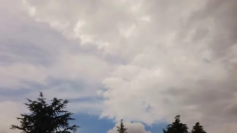Timelapse Clouds Over the Trees Stock Footage 132207991