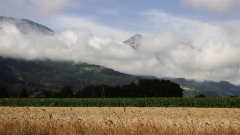 Timelapse of clouds over wheat field Video stock 76977289
