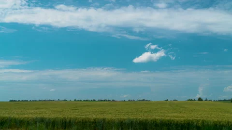 Timelapse of clouds over a wheat field in July Stock Footage 133622446