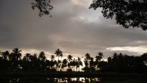 Timelapse Clouds pass over coconut graden Stock Footage 205393722