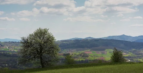 Timelapse Of Clouds Passing Over A Field Landscape With Tree Video stock 128549263