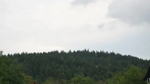 Timelapse of Clouds Passing Over Pine Forests in Slovenia Stock Footage 315435972