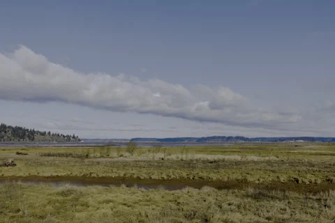 Timelapse of clouds passing over a wetland in Washington State Video stock 329006175