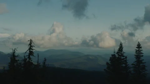 Timelapse of Clouds Passing Trees - Mt Hood National Forest in Oregon Stock Footage 232162717