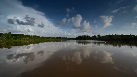 Timelapse of clouds reflected on pond in Everglades National Park 4K. Stock Footage 134984140