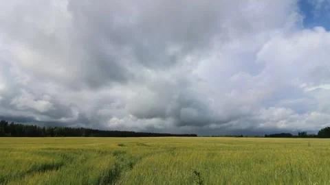 Timelapse of clouds rolling above a field Stock Footage 257133274