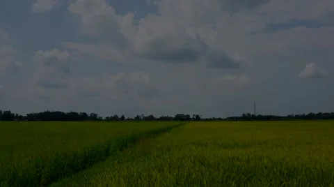 Timelapse of clouds sky. Stock Footage 58952150