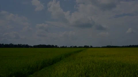Timelapse of clouds sky. Stock Footage 58952153