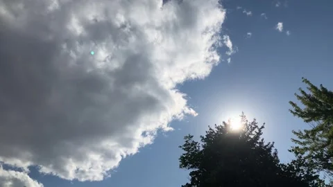 Timelapse clouds, sun, tree, plane, lens flare. 4K 60fps Stock Footage 284413706