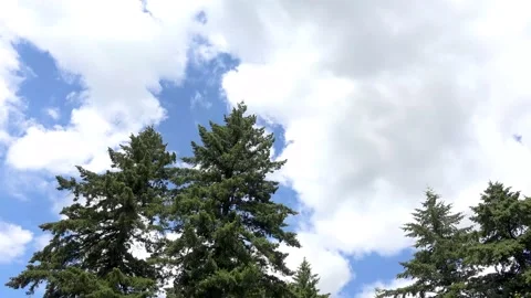 Timelapse of Clouds on a Sunny Day Stock Footage 133301259