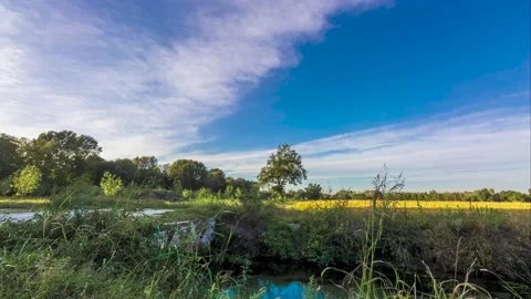 Timelapse of clouds in a sunny day Stock Footage 136667935