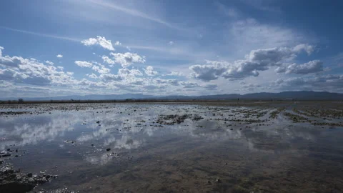 Timelapse with clouds on a sunny day with a half-flooded rice field 스톡 동영상 160411241