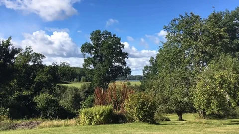A timelapse of the clouds in the swedish countryside Video stock 88251292