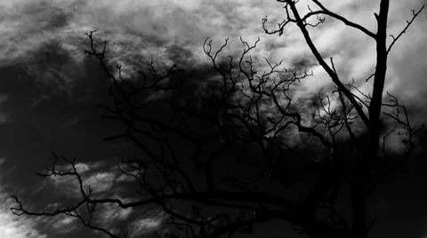 Timelapse clouds, thunder and lightning over bare leafless tree with audio Stock Footage 33827255