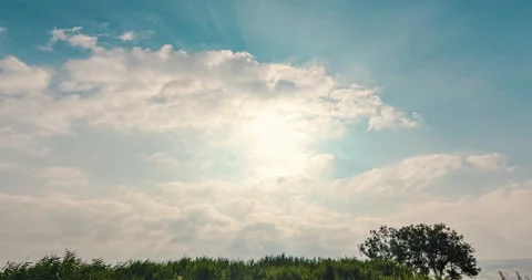 Timelapse clouds tilt up nature Video stock 134954109