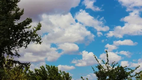 Timelapse of clouds with trees close-up Stock Footage 79106773