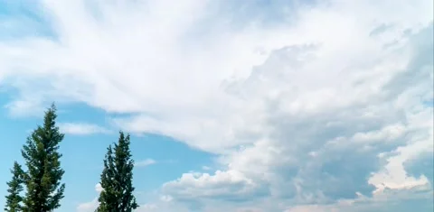 Timelapse Clouds Trees Stock Footage 132661084