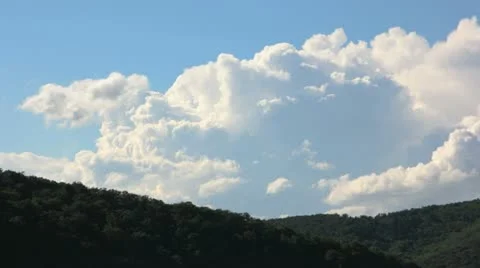 Timelapse clouds under forest Stock Footage 11400792