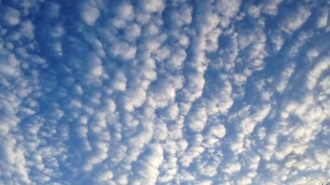 Timelapse clouds unique small bumpy texture streams by overhead Stock Footage 104643394