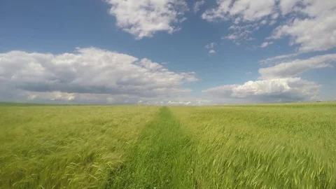 Timelapse Cloudsand The Green Field Stock Footage