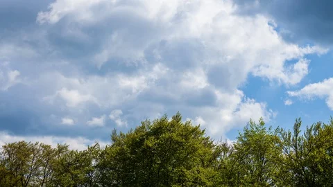 Timelapse of Cloudscape Above Trees with Green Foliage [Shot in 8K] Stock Footage 129172300