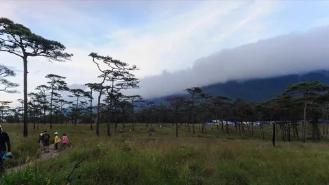 Timelapse, cloudscape after rain in wilderness meadow. Stock Footage 129483873