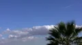 Timelapse Cloudscape HD37 HD Footage
