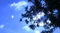 Timelapse Cloudscape HD42 HD Footage