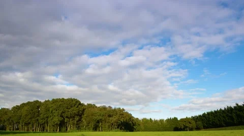 Timelapse cloudscape over trees Stock Footage 55336501