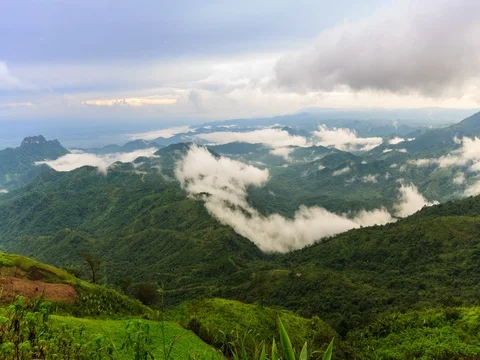 Timelapse, cloudscape in rainforest, Thailand. Stock Footage 72542238