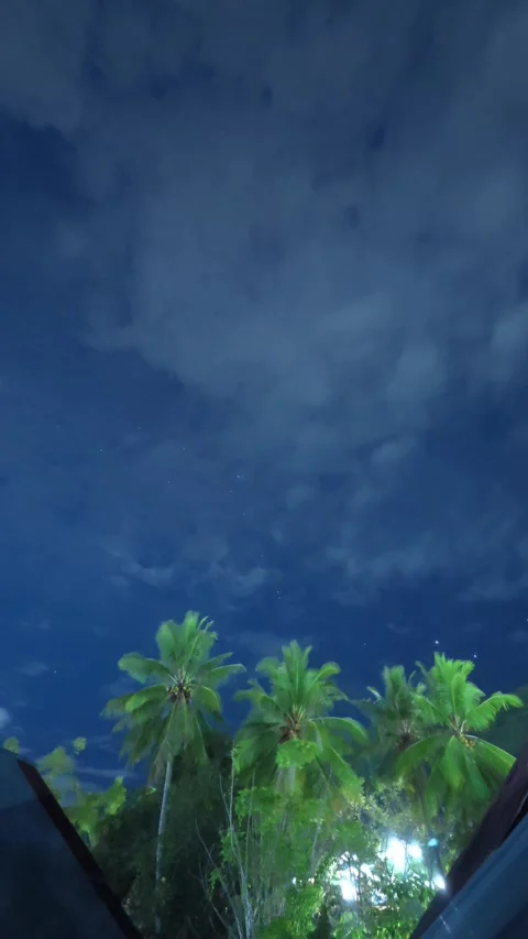 Timelapse of a Cloudy and Starry Sky Video stock 311554206