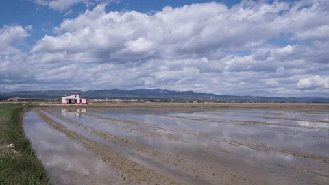 Timelapse of a cloudy day accompanied by a typical Delta de l'Ebre house. Stock Footage 160340067