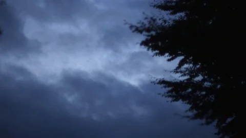 Timelapse On A Cloudy Day With Leaves  Side And Copy Space On The Left Stock Footage 126701178