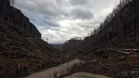 Timelapse - Cloudy day, Pravcicka Brana 動画素材 294357200