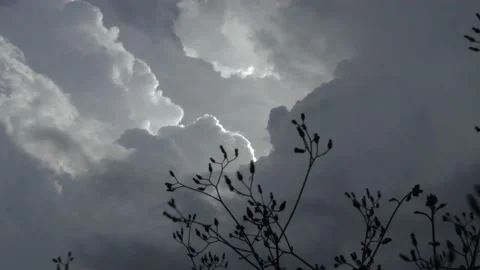 Timelapse Cloudy Stock Footage 236789489