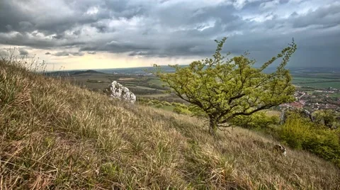 Timelapse with cloudy sky and tree Stock Footage 67582472