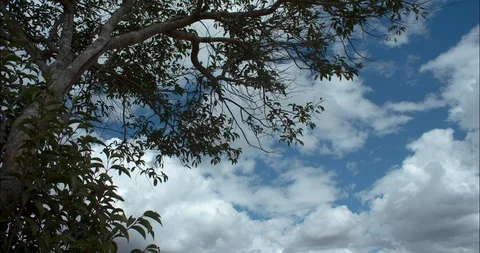 Timelapse of cloudy sky  Stock Footage 92053755