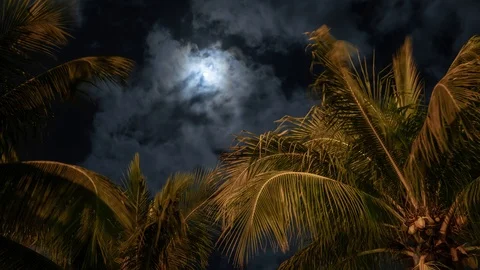 Timelapse cloudy sky in front of the moon at night, palm tree at tropical resort 스톡 동영상 124995508