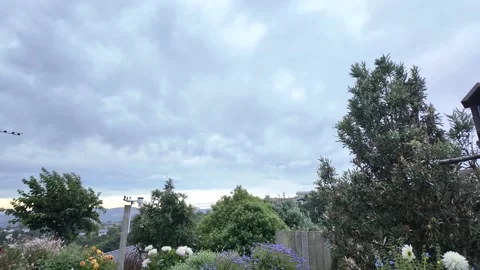 Timelapse of cloudy sky over plants and flowers Stock Footage 328995268