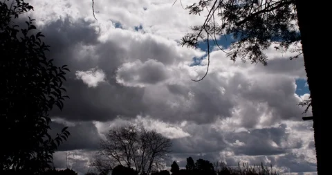 Timelapse of cloudy sky through silhouetted trees Stock Footage 92054110