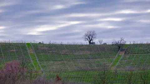 Timelapse on cloudy spring day on vineyard in Langa Stock Footage 272895222