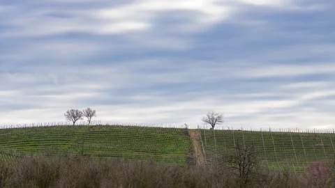Timelapse on cloudy spring day on vineyard in Langa Stock Footage 272895242